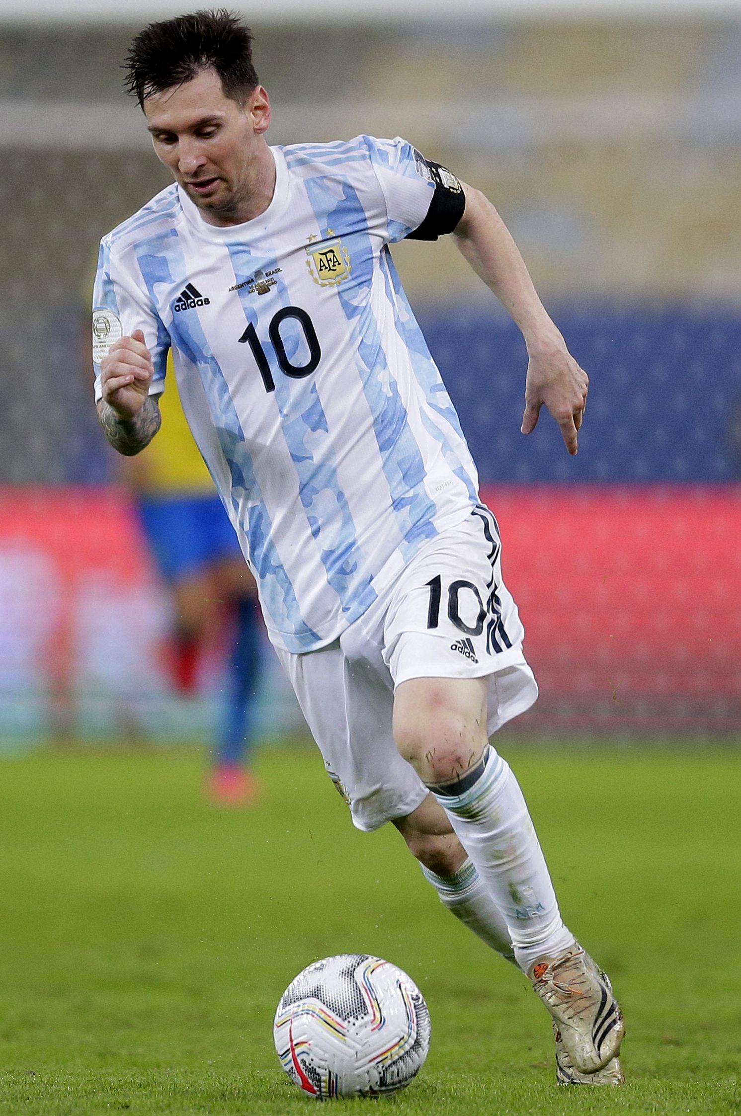 都已有所熟 都已有所熟