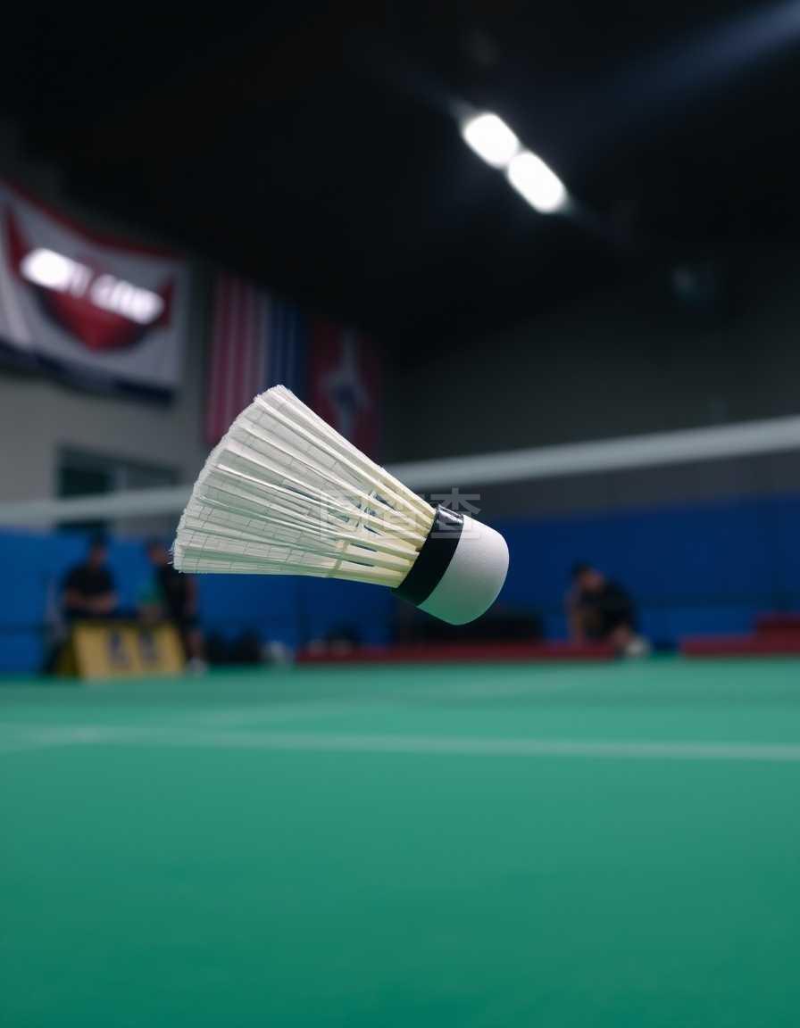 当王大雷走 当王大雷走